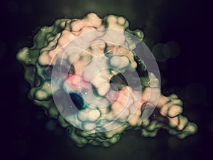 Ubiquitin protein molecule, 3D rendering. Ubiquitin is a molecul