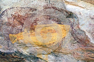 Ubirr Fish rock art photo