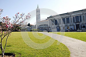 UC Berkeley photo