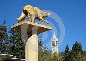 UC Berkeley campus photo