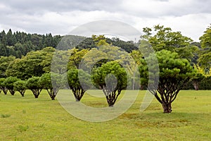 Uchikawa Cemetery, Kanazawa, Ishikawa Prefecture, Japan photo