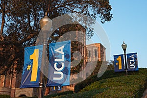 UCLA Bruin Bear on the University of California, Los Angeles, campus.