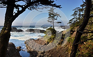 Ucluelet Trail, Vancouver Island photo