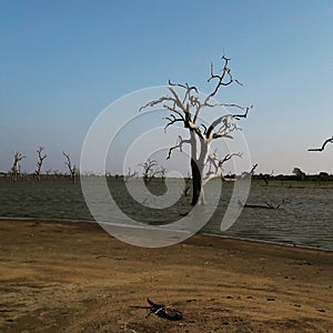 Udawalawa National Park