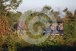 Udawalawe, Sri Lanka:Tourists in a safari vehicle viewing elephant in the National Park