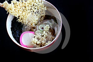 Udon noodle with fried shrimp tempura , Japanese food