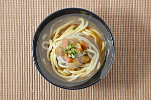 Udon Noodle Soup