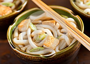 Udon Noodles with Tofu and Green Onion