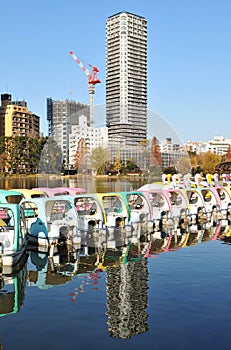 Ueno Park photo