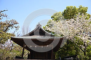 Ueno Park Tokyo Japan