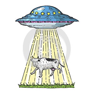 UFO kidnaps the cow color sketch engraving