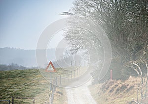 UFO sign, spaceship and mist road in nature for alien warning, science fiction and abduction. Area 51, travel and