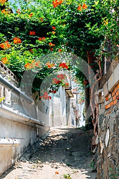 Ugakro cultural village alley with flowers in Incheon, Korea