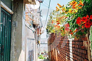 Ugakro cultural village alley with flowers in Incheon, Korea