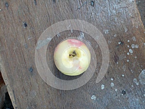 Ugandan farmer have started to grow apples