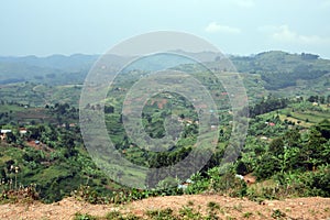 Ugandan landscape