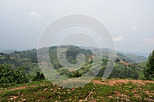 Ugandan landscape