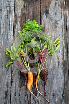 Ugly carrot and beetroot