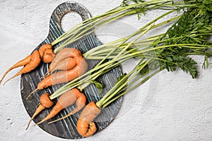 Ugly carrot roots lie on a round wooden cutting Board on a light background. Copy space