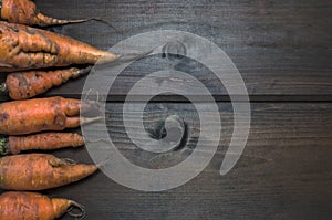 Ugly carrots on the left on wooden background freshly picked from garden. Organic food concept