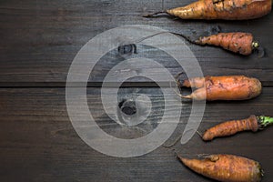 Ugly carrots on the right on wooden background freshly picked from garden. Organic food concept