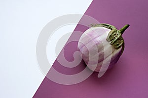 Ugly eggplant on a contrasting white and purple paper background. Organic vegetable Solanum melongena. Conscious eating concept