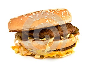 Ugly fat sandwich