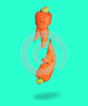 Ugly food. Deformed carrots on trendy aqua turquoise background.Food waste problem concept.Minimal flatlay,pop art style