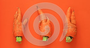 Ugly food. Deformed carrots on trendy bright orange background.Food waste problem concept.Minimal flatlay,pop art style