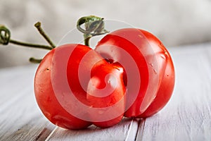 Ugly fruit or vegetable. Severely malformed mutant tomato. Food shops mostly prefer the best quality fruit and vegetables. Ugly