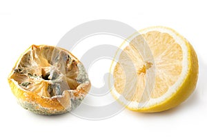 Ugly lemon with mold and fresh half lemon on white background. Close up