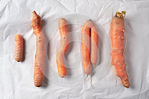 Ugly misshapen carrots on craft paper background. Concept of zero waste production. Top view. Copy space. Non gmo vegetables