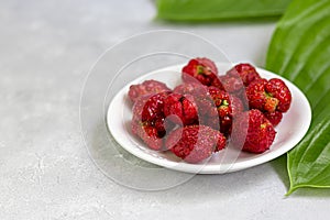 Ugly natural product of strawberries on a white dish, red ripe and strange shapes on a gray background. Fashionable ugly food.