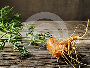 ugly orange carrots green foliage fresh harvest on a wooden surface