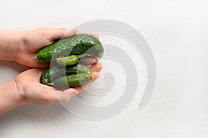 Ugly organic abnormal cucumbers in hands. View from above. Space for text.