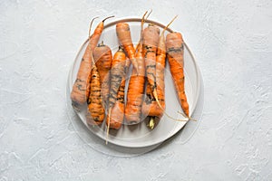 Ugly organic carrot eaten by pests, spoiled, improperly grown. Space for text. Concept natural vegetables