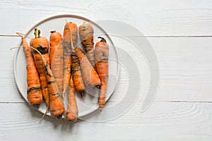 Ugly organic carrot eaten by pests, spoiled, improperly grown. Space for text. Concept natural vegetables