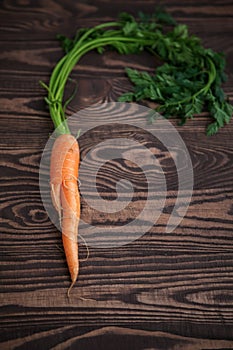 Ugly organic carrot with green leaves