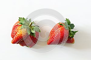 Ugly organic home grown strawberries on white wood background. Strange funny imperfect fruits and vegetables, misshapen produce, f photo