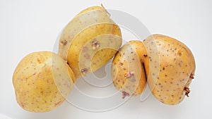 Ugly potatoes on white background. Unnormal vegetable, zero waste. Irregular shaped pratie spud. Influence of dioxins