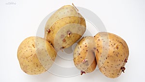 Ugly potatoes on white background. Unnormal vegetable, zero waste. Irregular shaped pratie spud. Influence of dioxins