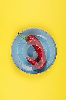 Ugly red chili peppers on a blue plate on a yellow background, minimal style of nature, pop art, creative food concept, modern art