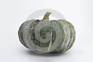 Ugly ripe green pumpkin on a white background. Organic waste of overripe fruits. Ugly food, fruits. Copy space