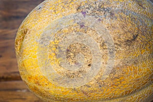 Ugly shaped melon with scar-like structure, scratch on white background