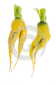 Ugly shaped vegetables, food. Deformed  fresh organic carrots. Misshapen produce