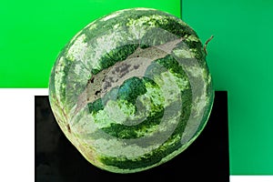 Ugly shaped watermelon with scar-like structure, scratch on white background