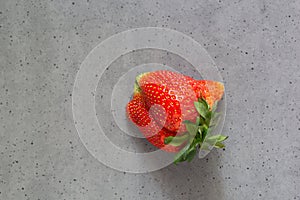 Ugly strawberry. Strange imperfect shape organic fruit on gray cement background. Misshapen produce, food waste problem concept.