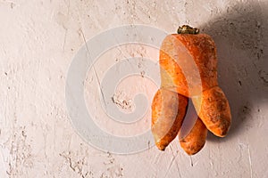 Ugly vegetables, carrots on a light background.funny monster carrot The concept of non-waste production in the food industry