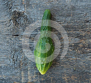 Ugly vegetables, fresh cucumber on a grey rustic wooden background