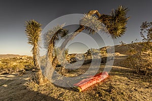 UGQ Down Quilt in Joshua Tree National Park